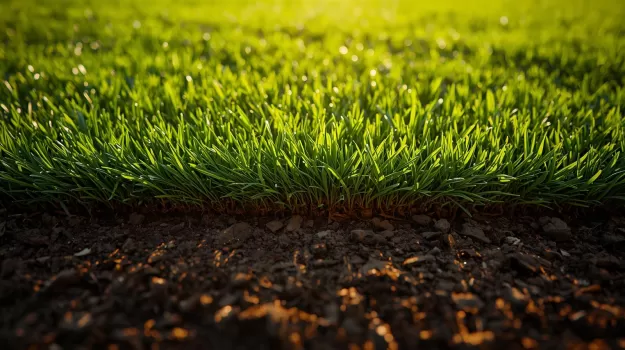 Natural Grass Installation by EB Advantage LLC